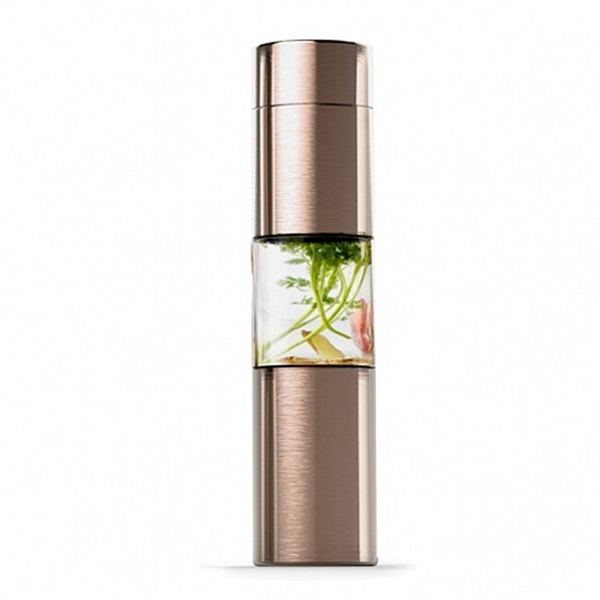 Бутылка Asobu Flavor U See золотистый, 0,46 л Бутылка Asobu Flavor U See золотистый, 0,46 л