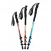 Палка треккинговая Naturehike ST01 6061 AL NH17D001-Z (3 узла) темно-зеленый/женские, 57-120 см
